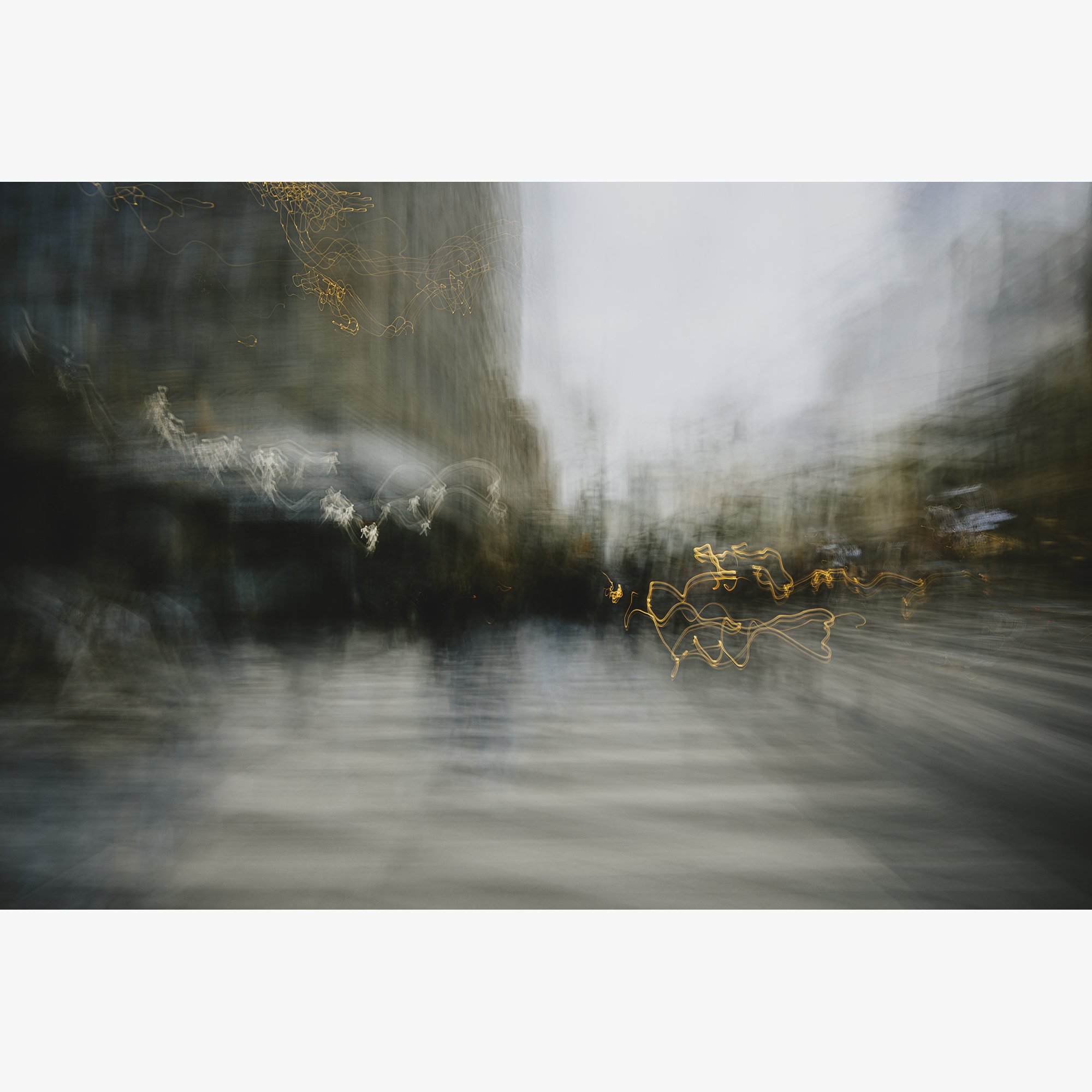 Walk on the wild side 2000px.jpg