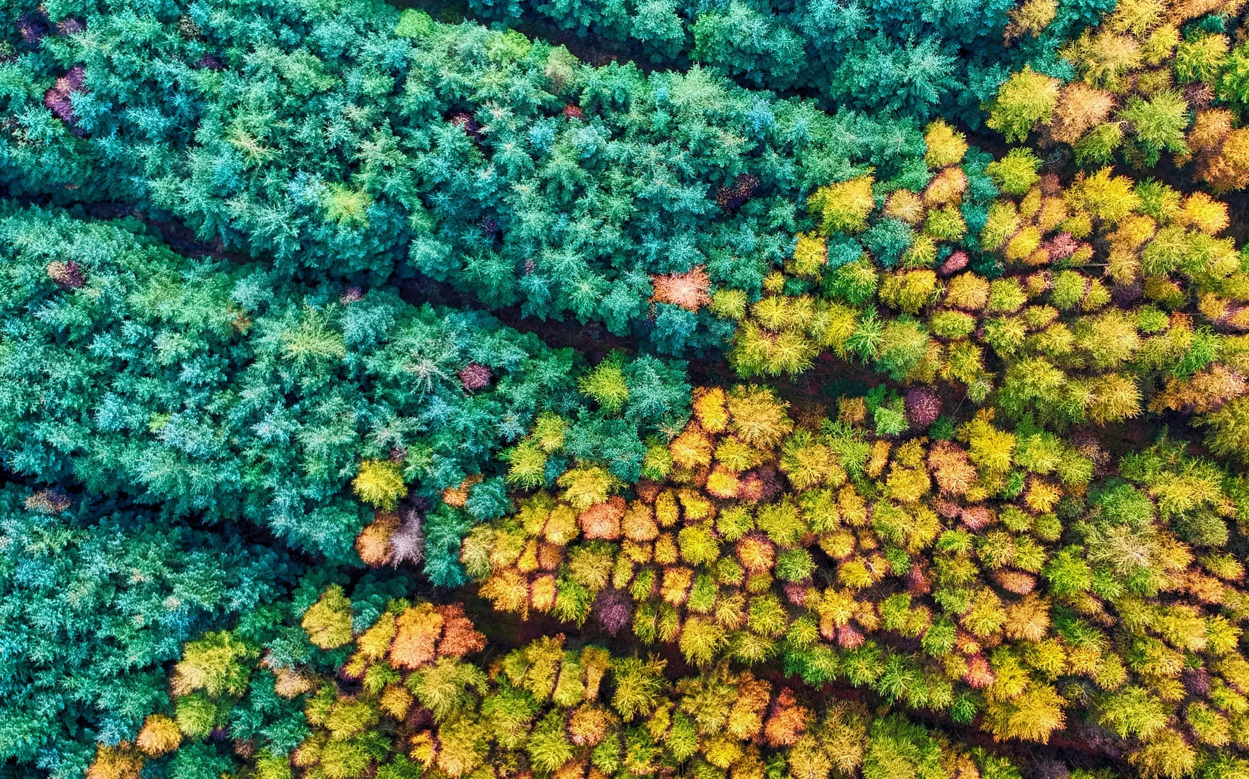 5 Tips For Living Each Season To The Fullest