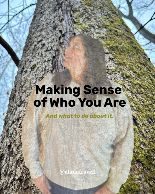 Making Sense of Who You Are ​​(True Nature, Part II):