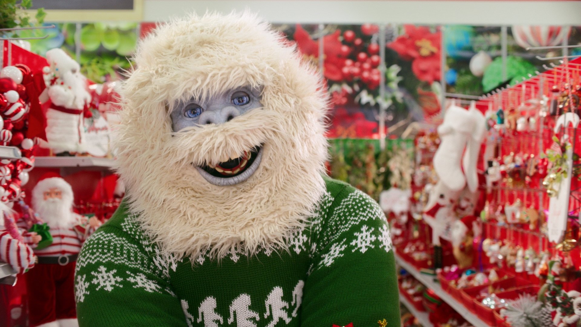 Michaels Craft Store commercial Nick Mahar