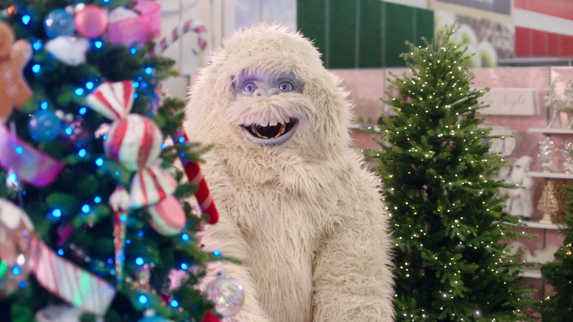 Michaels Craft Store commercial Nick Mahar