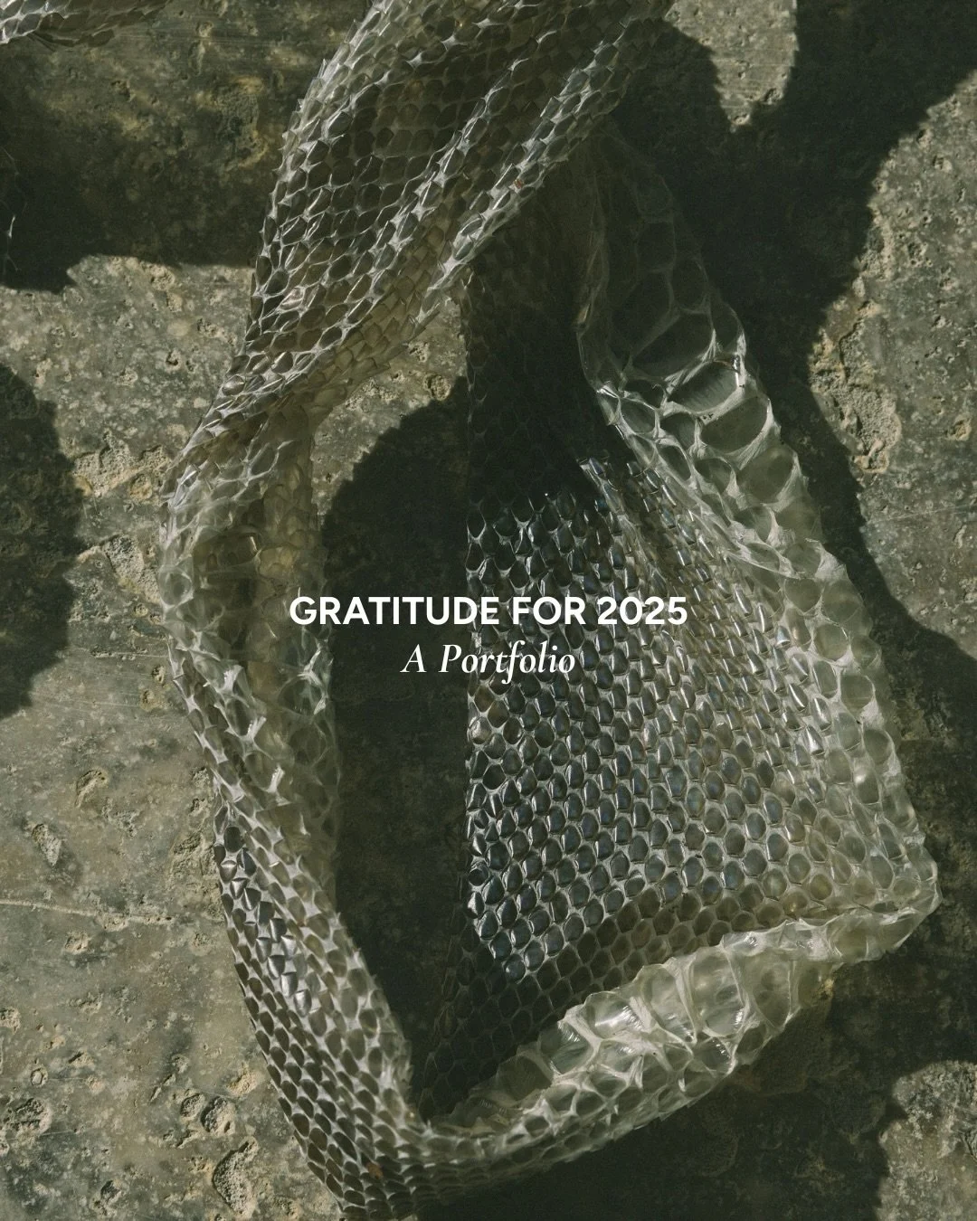 Businesses were brought to life, stories were told, views, trust and traffic were increased. Edits were made, footage delivered and images retouched. Personal brands became more visible and businesses got the assets they needed to grow.

Thank you fo