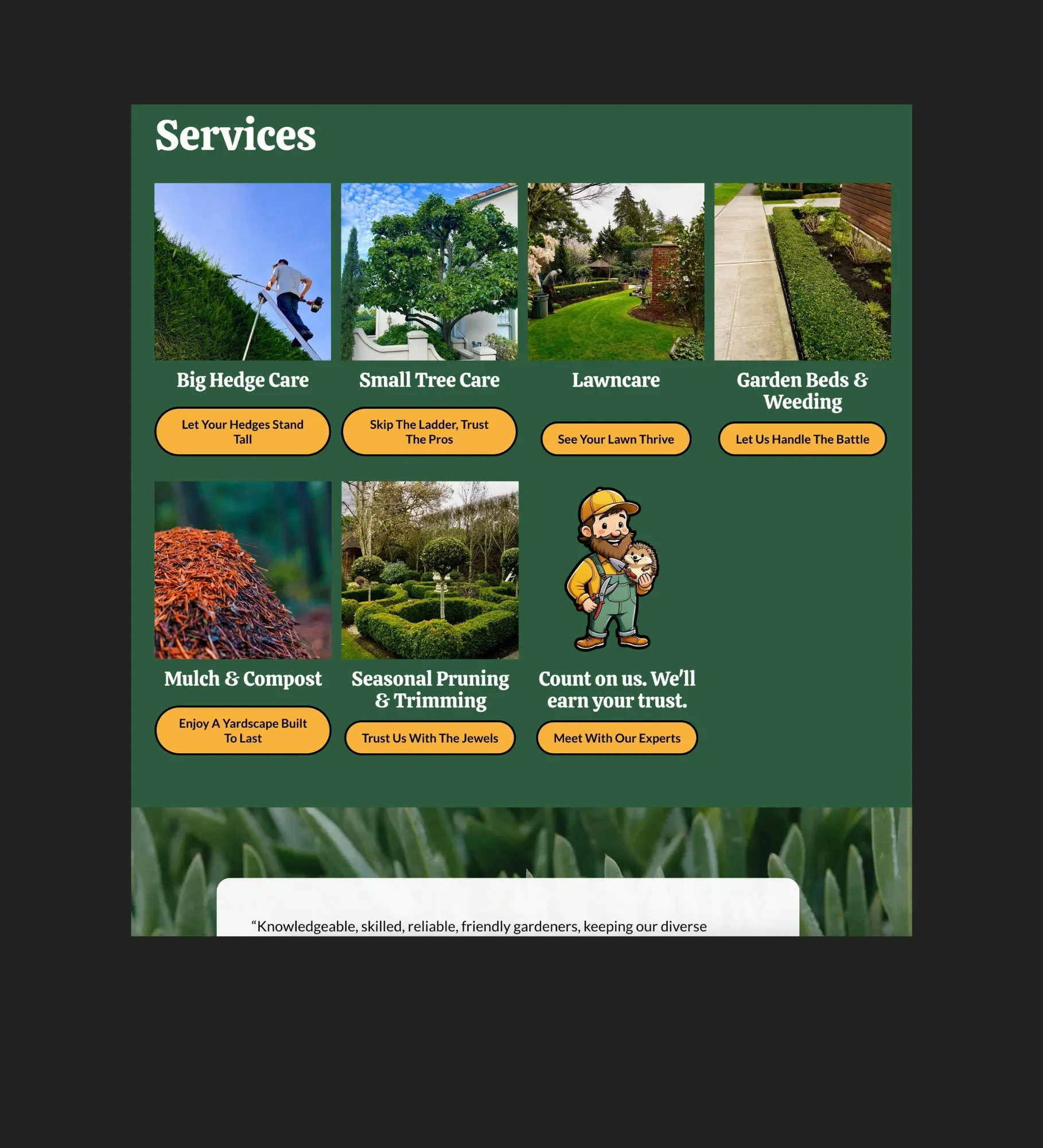 Numinosity Design Seattle Web & Brand Design-3.webp