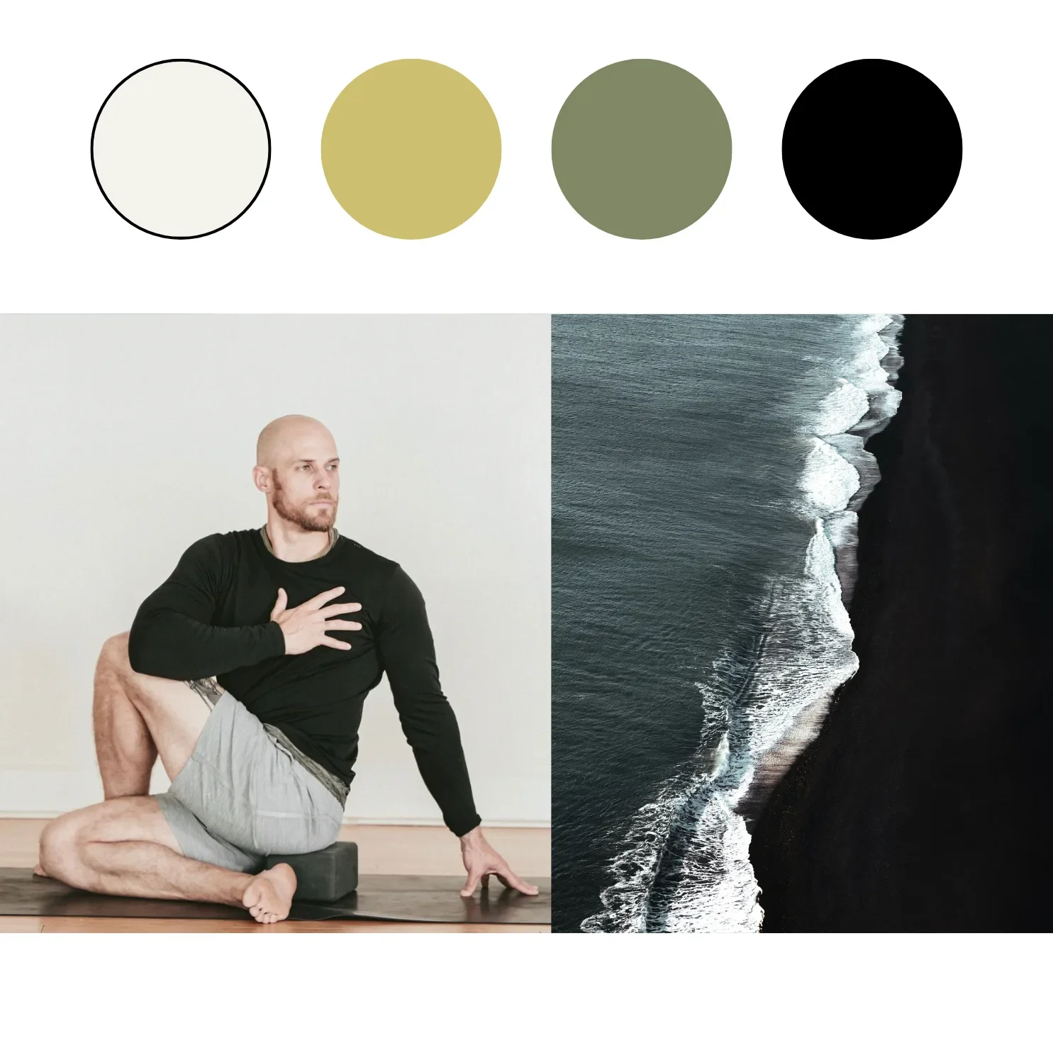Portfolio Color Palettes(1).webp