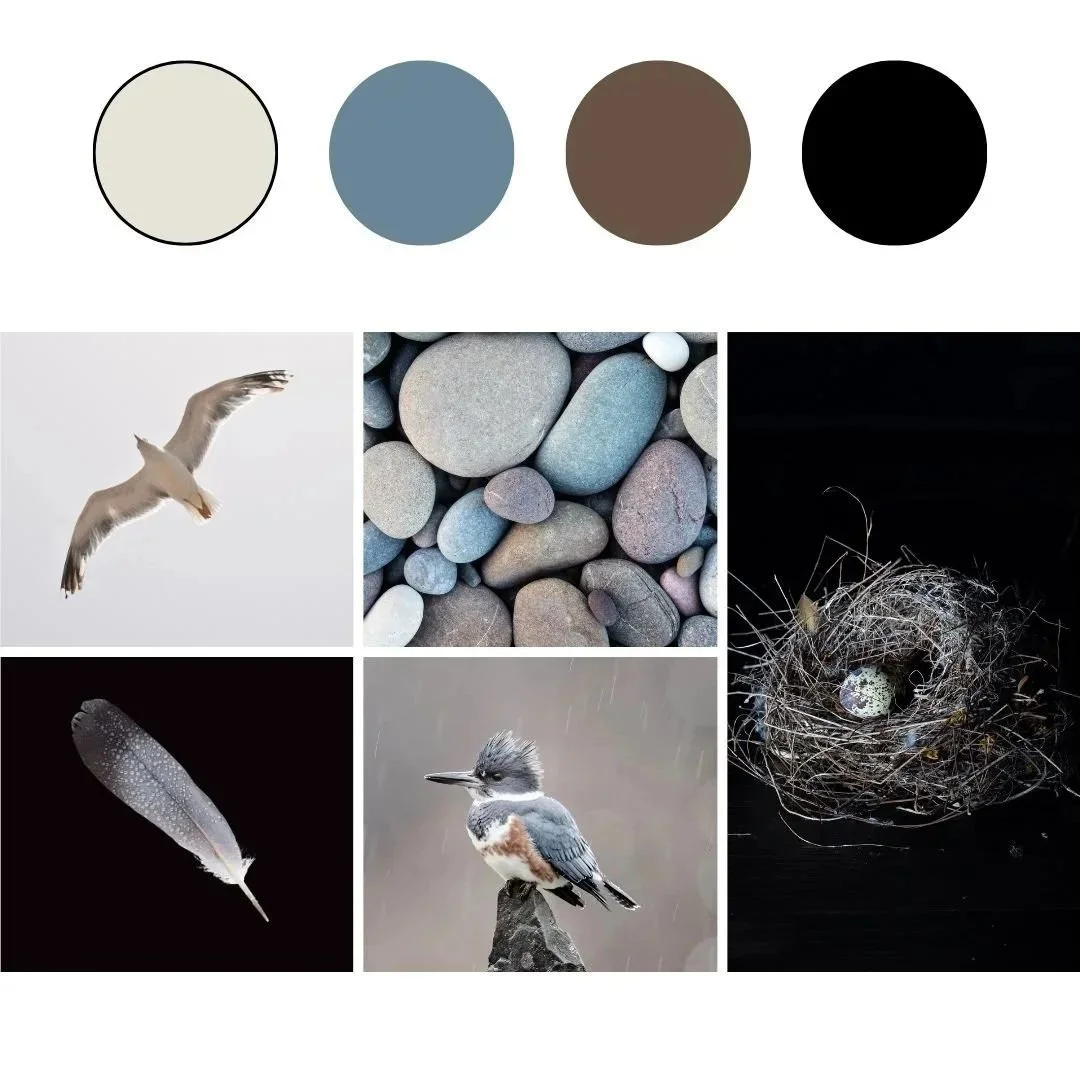 Nature-inspired color palette with four circles: cream, blue-gray, brown, and black; images of a flying seagull, smooth pebbles, a feather against black, a bird perched on a rock, and a bird nest with an egg.