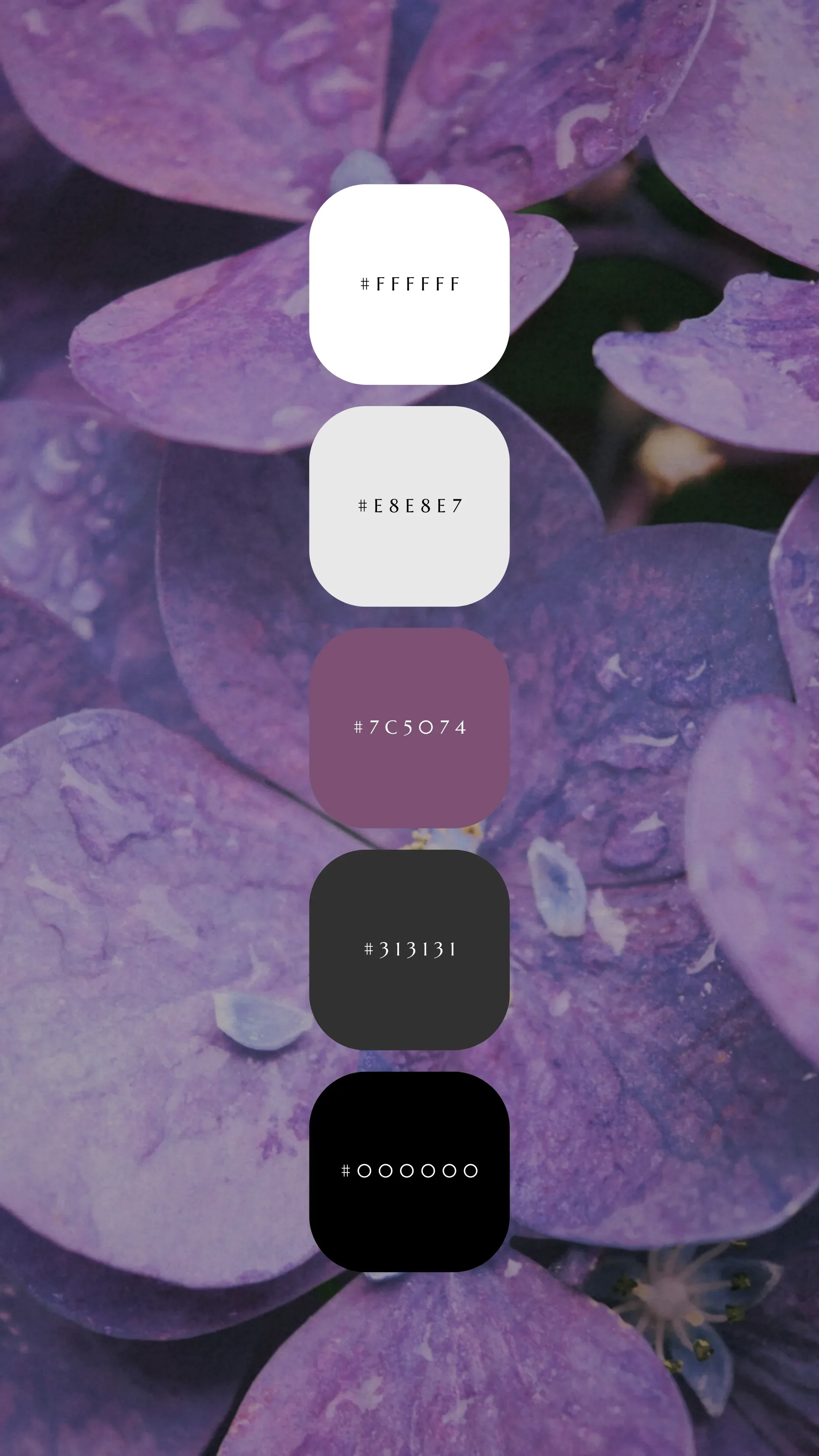 A close-up of purple hydrangea flowers with water droplets, accompanied by a color palette featuring white, light gray, purple, dark purple, and black.