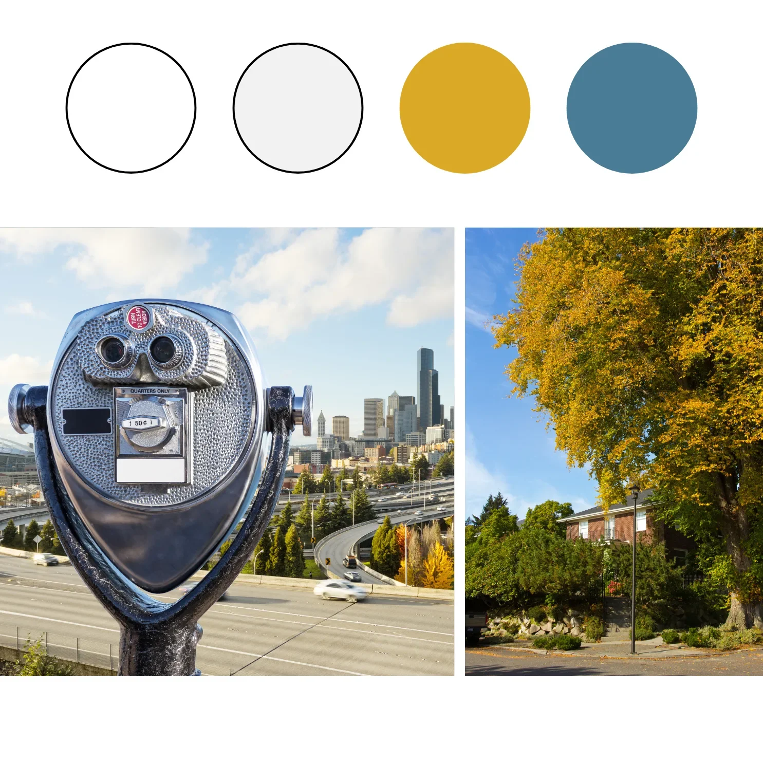 Portfolio Color Palettes.webp