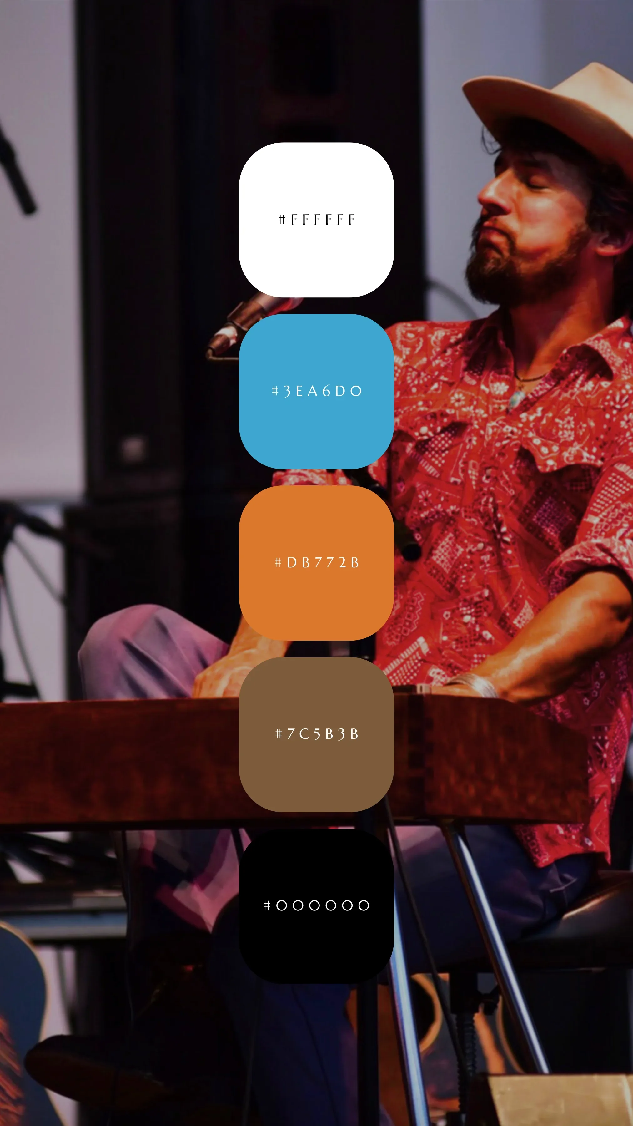 Numinosity Color Palettes4.webp