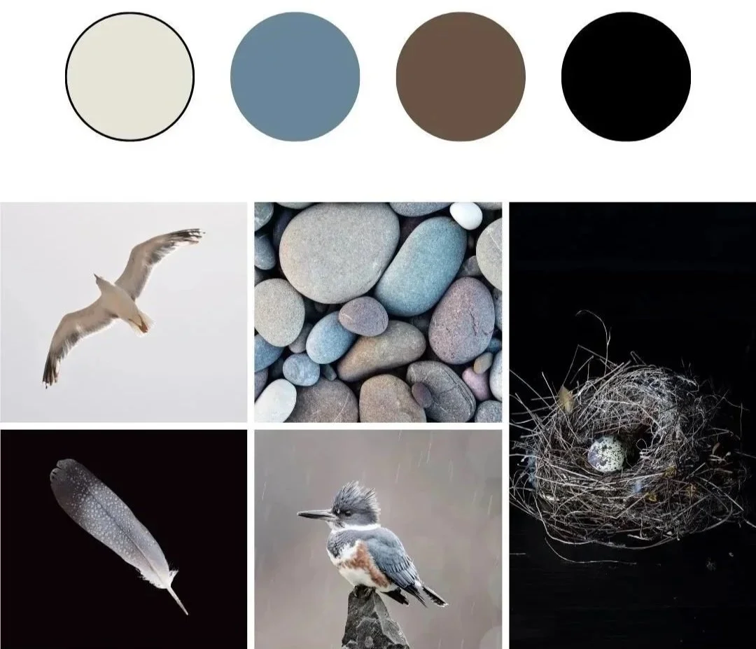 Nature-inspired color palette with four circles: cream, blue-gray, brown, and black; images of a flying seagull, smooth pebbles, a feather against black, a bird perched on a rock, and a bird nest with an egg.