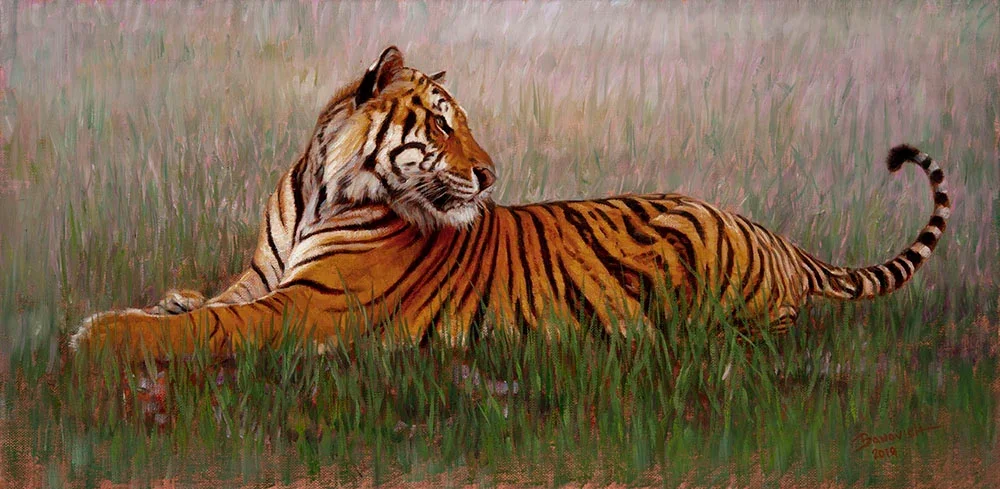 John Banovich - Bengal Repose