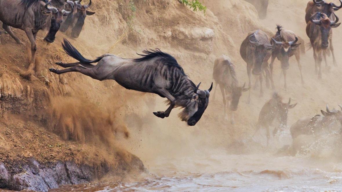 The-Great-Wildebeest-Migration.jpg