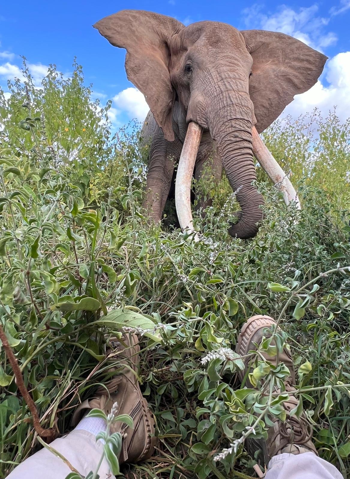 WhatsApp Image 2026-01-03 at 22.26.18.jpeg