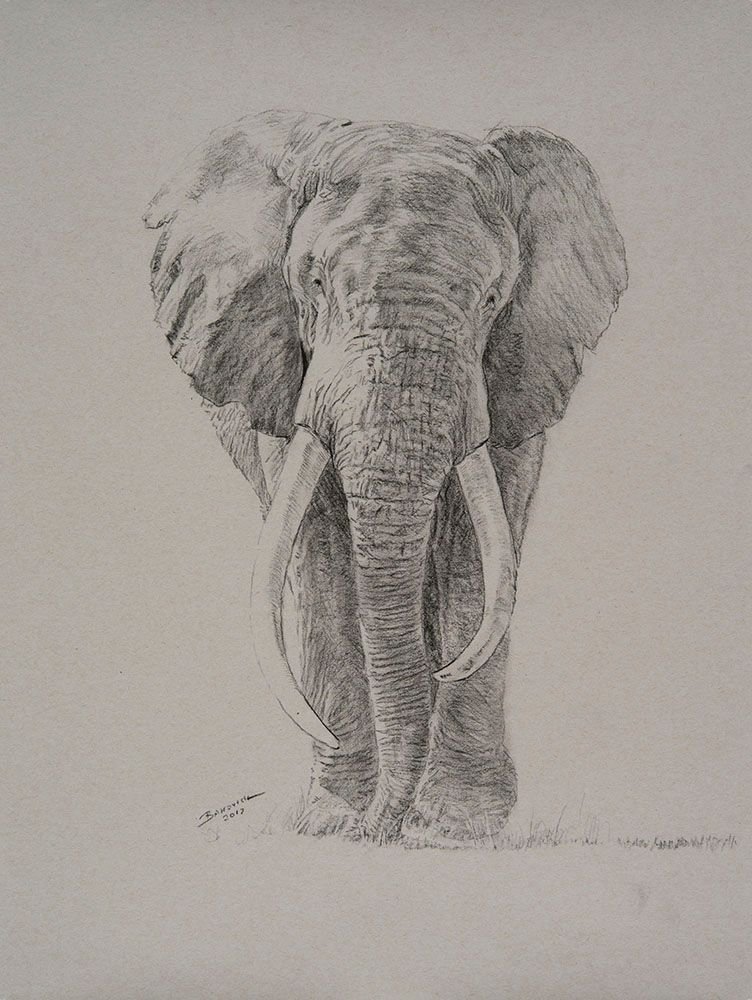 WhatsApp Image 2026-01-19 at 18.27.13.jpeg