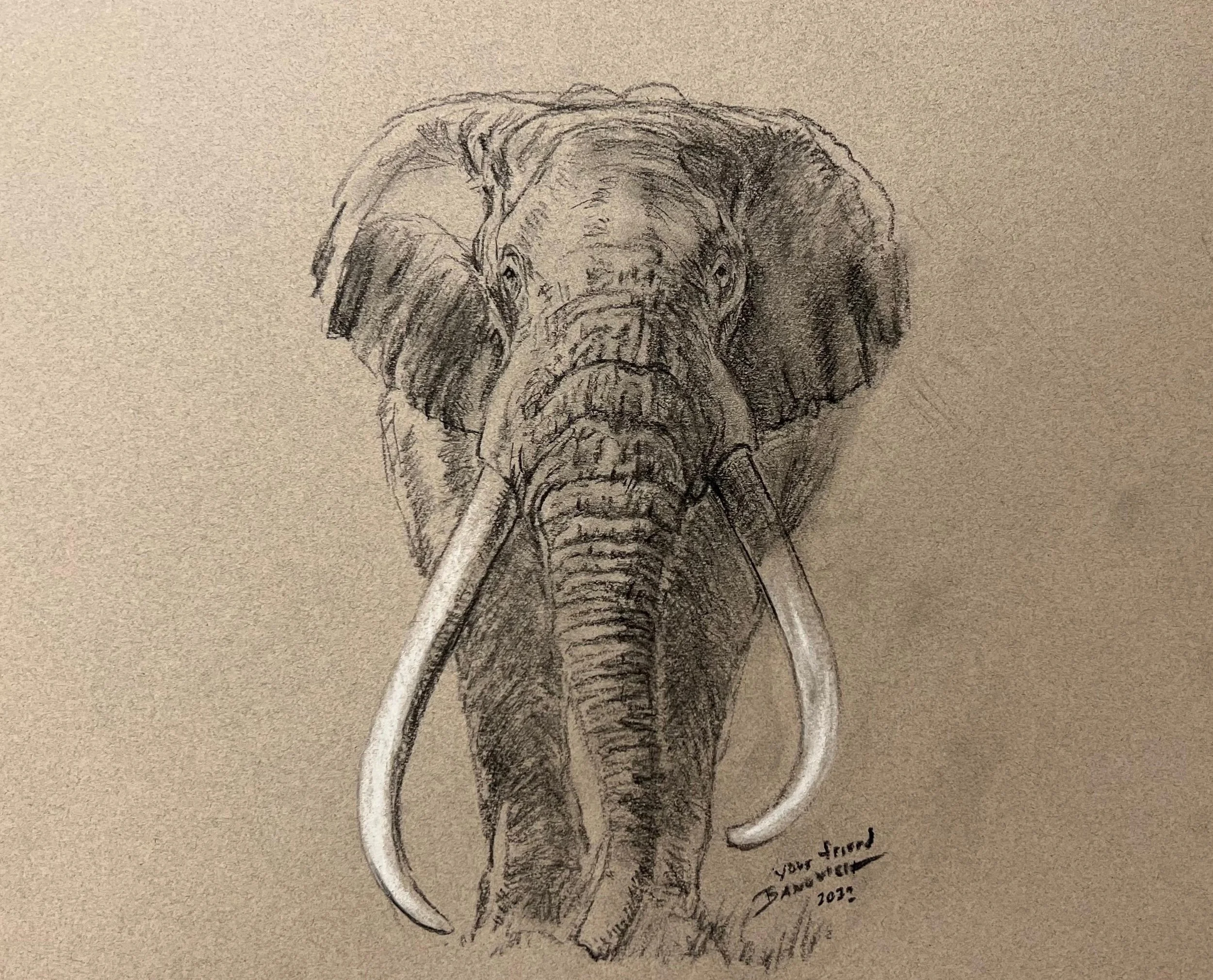 WhatsApp Image 2026-01-19 at 18.27.26.jpeg