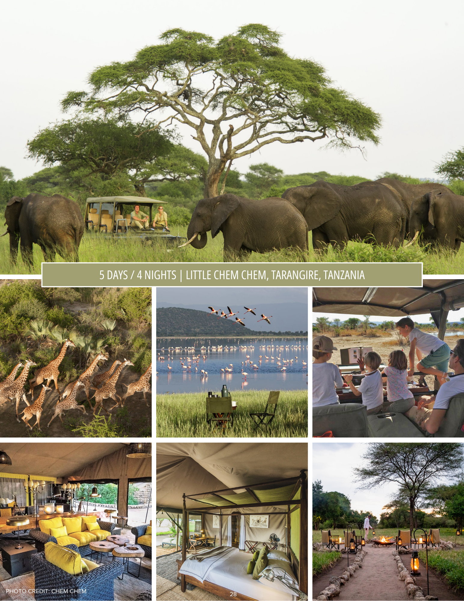 Chem Chem, Tarangire, Tanzania (2).png