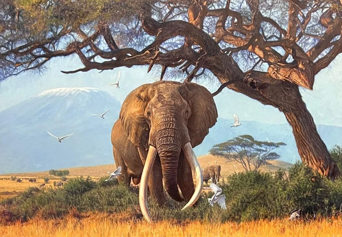 Craig: The Last of the Great Tuskers