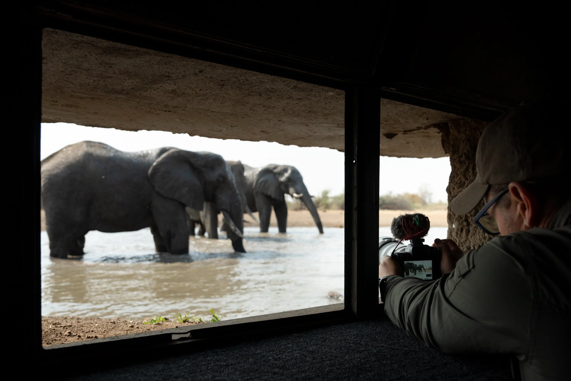 Singita Malilangwe_Photo Hide.jpg