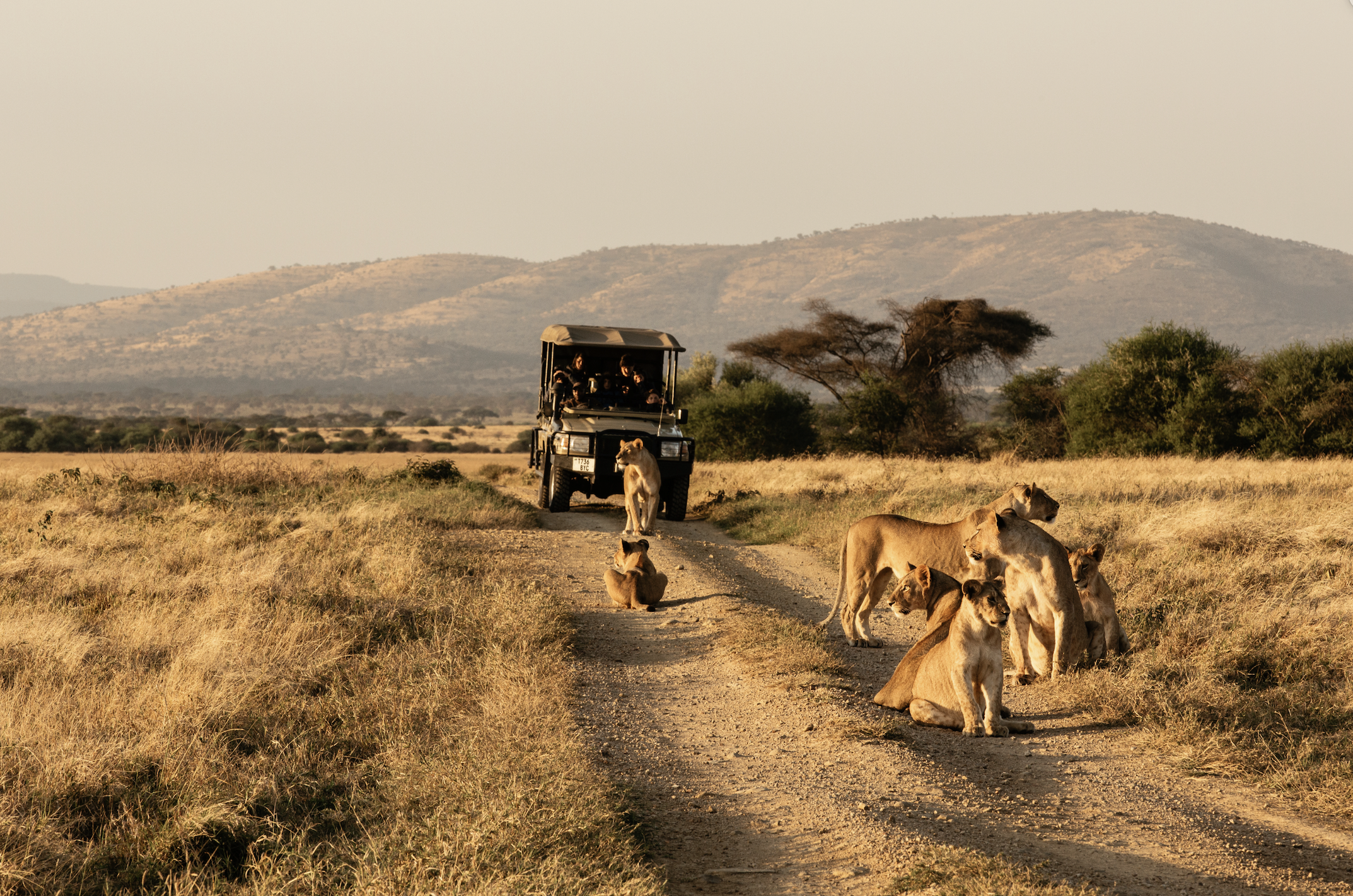 Screenshot 2026-04-07 at 09.03.17.png