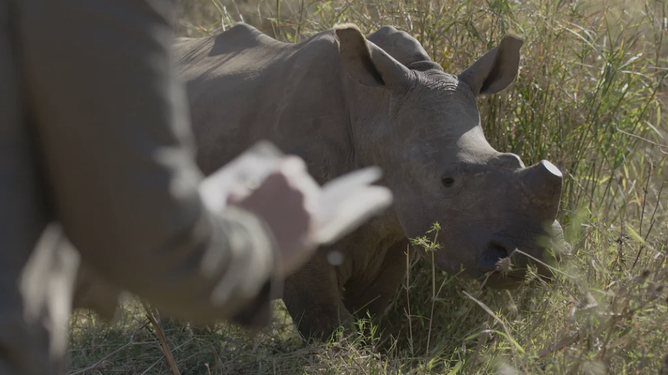 Screenshot 2026-04-07 at 09.24.16.png