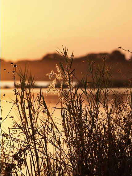 Screenshot 2025-12-18 at 08.34.20.png