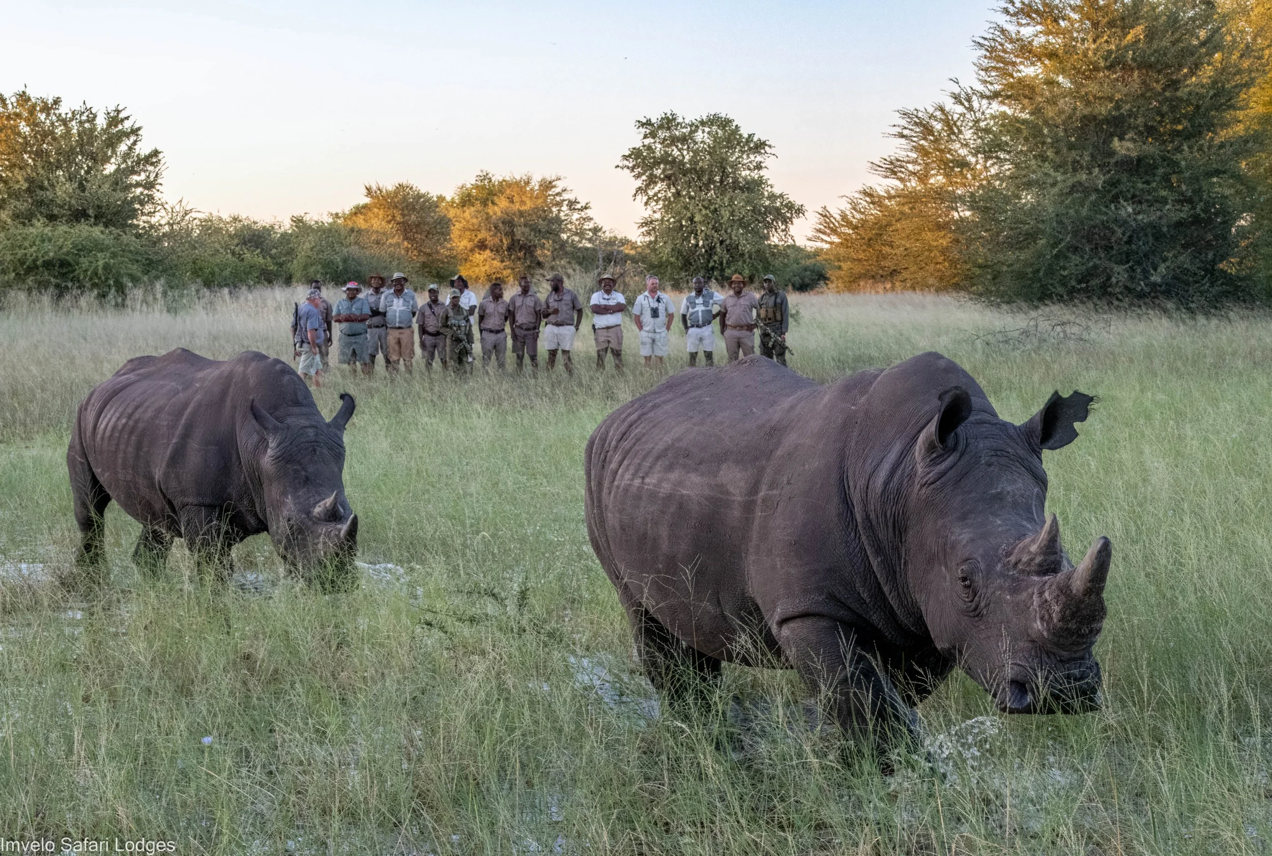 Imvelo - CRCI - Guide training Rhino (1 of 1)-3.jpg
