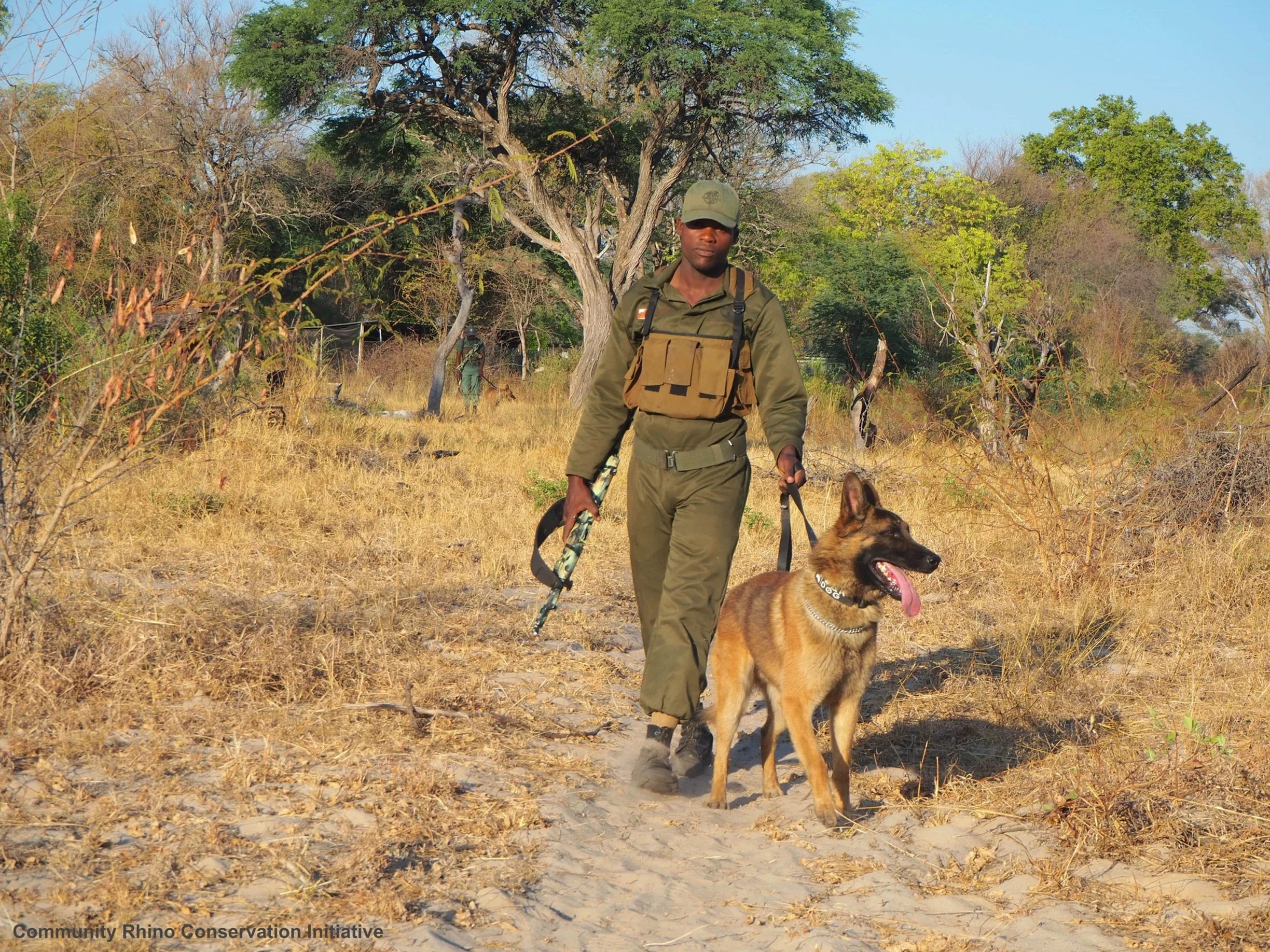 CRCI-Luther and Ragnar.webp