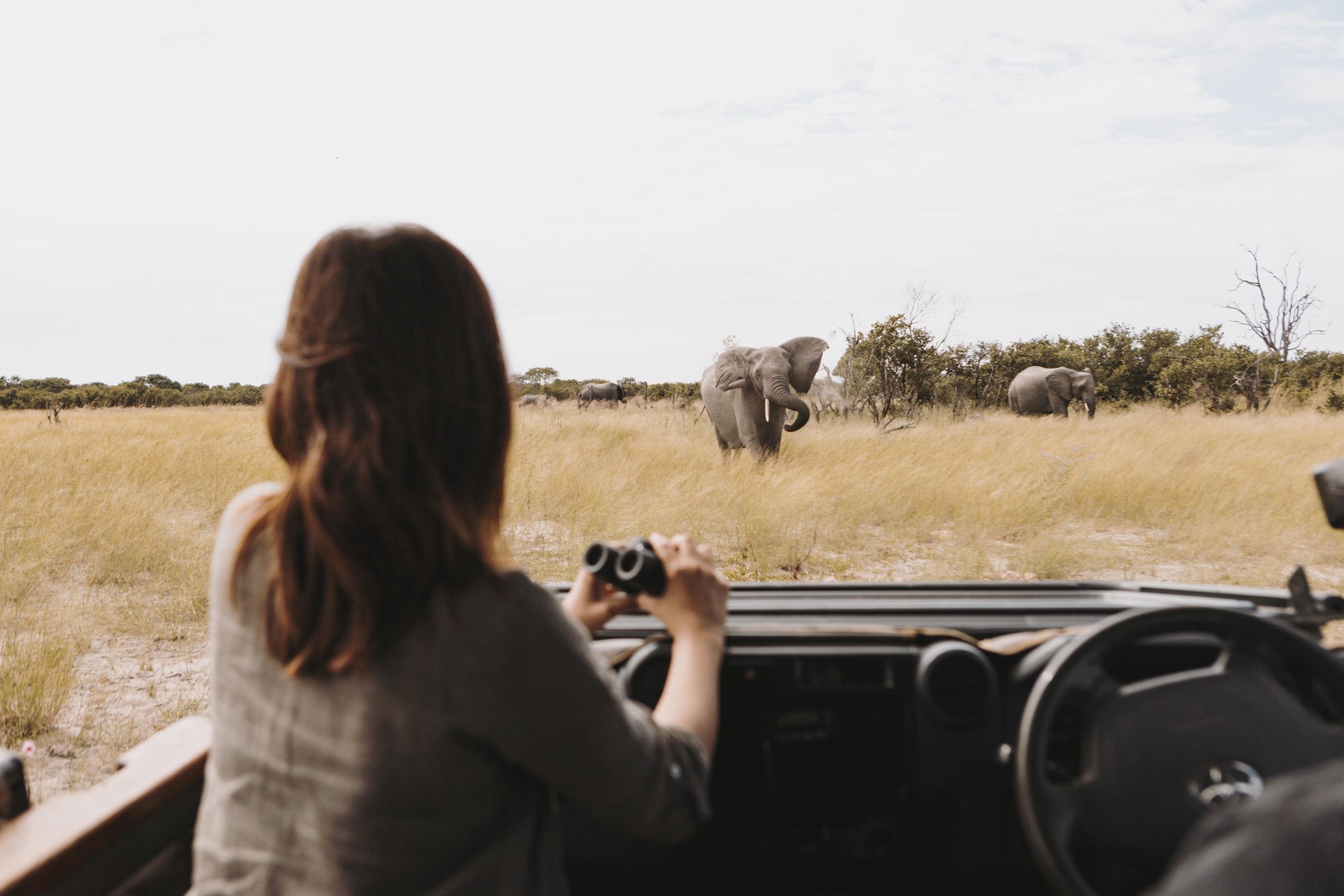 The Art of Conservation