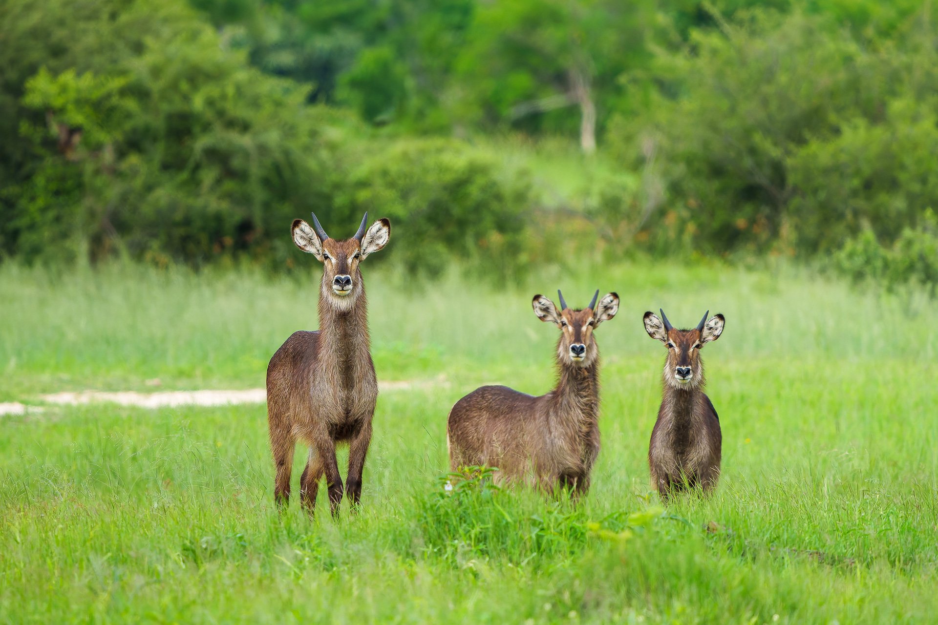 Beyond the Big Five