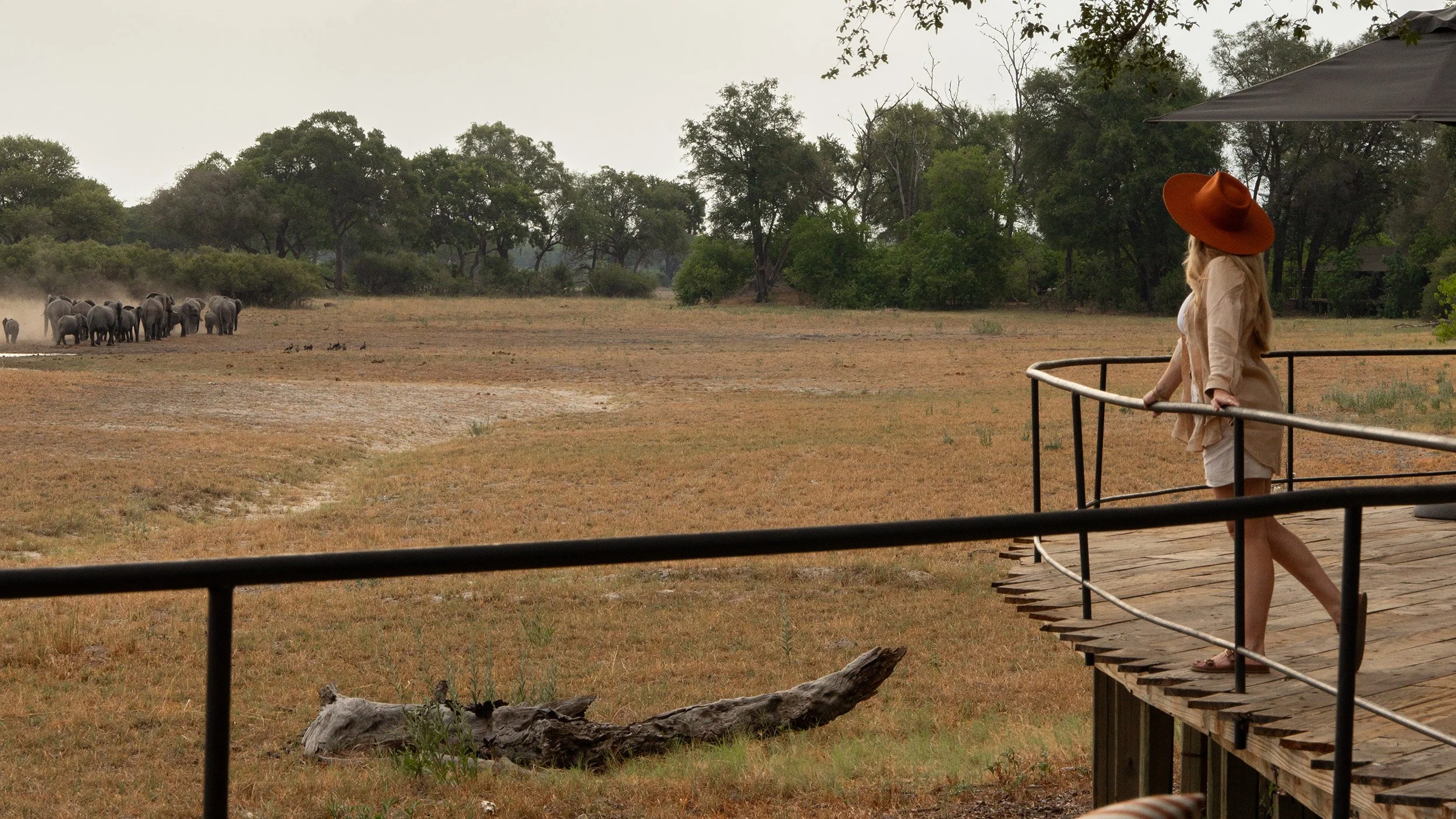 The Luxury of Being Here… and Why the most intimate safari stays are often planned 12–24 months ahead.