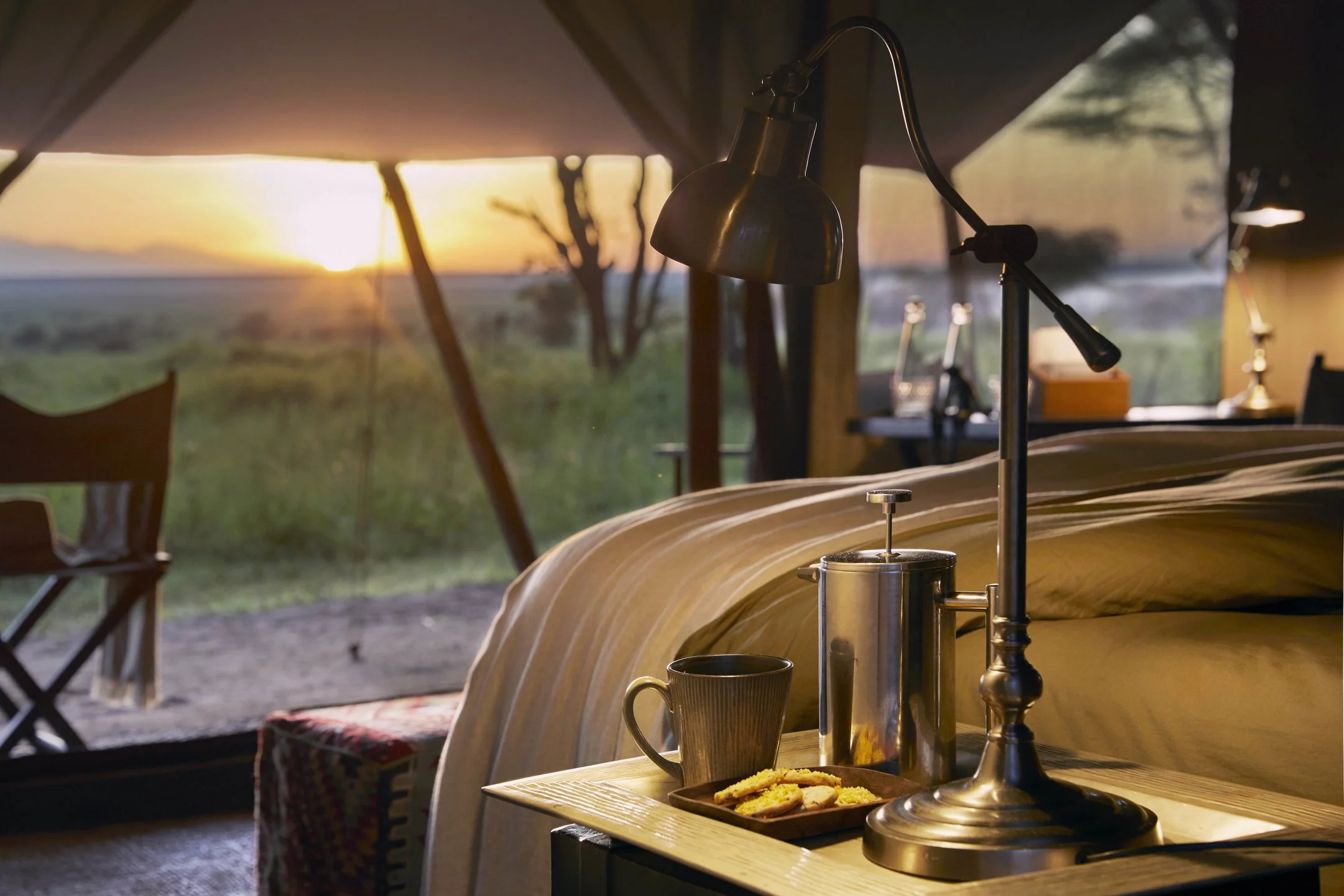 The Best Safaris Are Never Accidents
