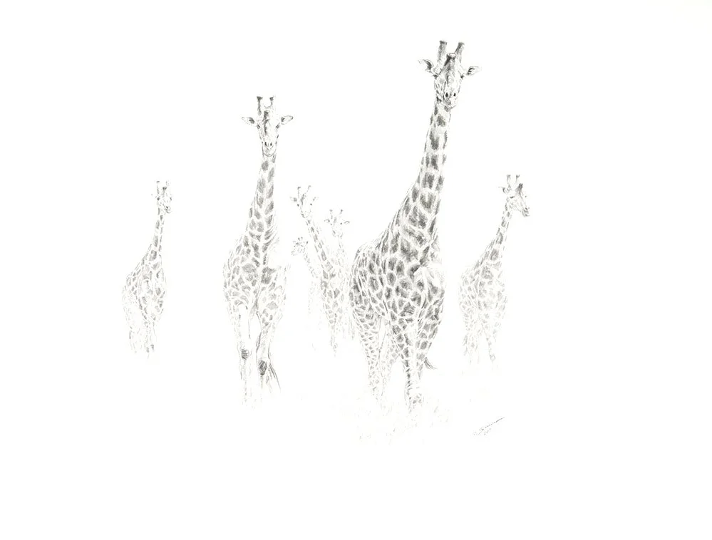 Private Luxury Safaris Wildscapes Travel private-luxury-safaris-wildscapes-travel