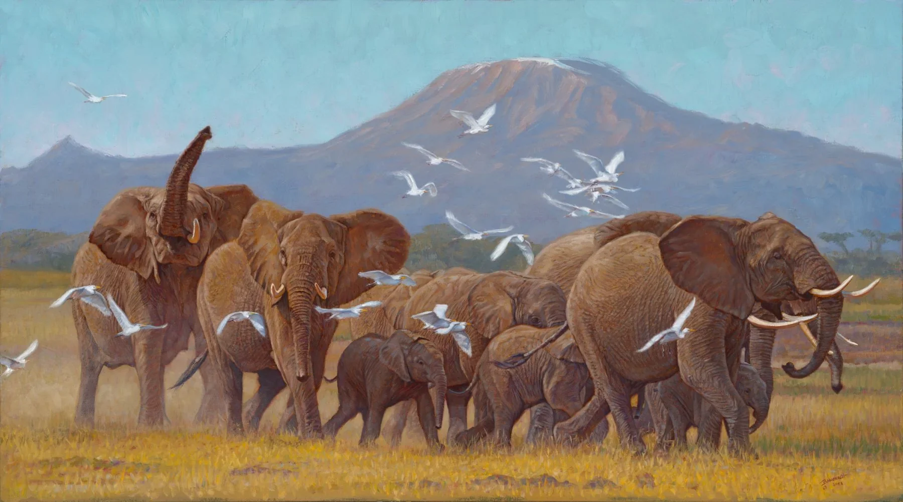 John Banovich - Land of Elephants. Limited Edition Giclée Canvas Gallery Edition - 16" x 28"