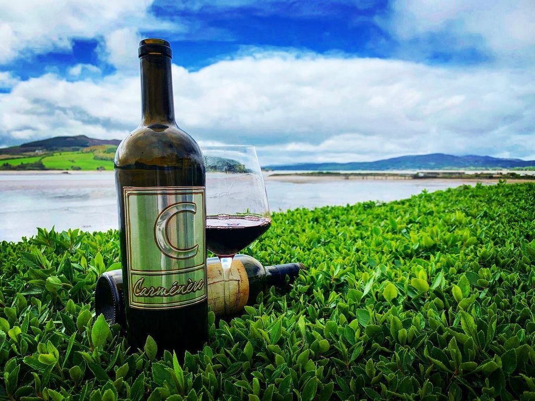 Bottle and glass of Cooper Wine in the grass