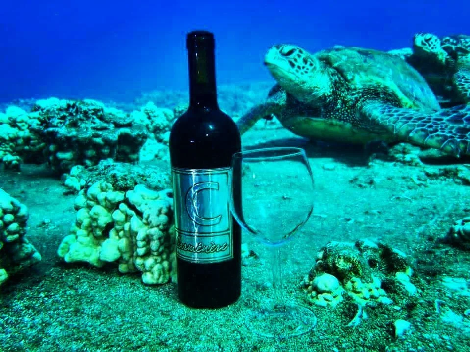 Bottle of Cooper Wine in the ocean with a turtle