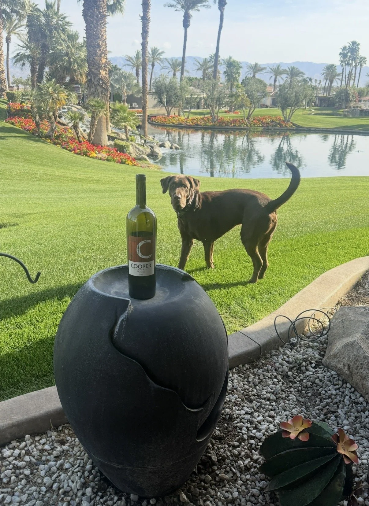 Cooper Comes to ORI - Indio, CA