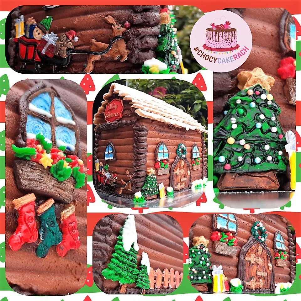 xmas cake house 1.jpg