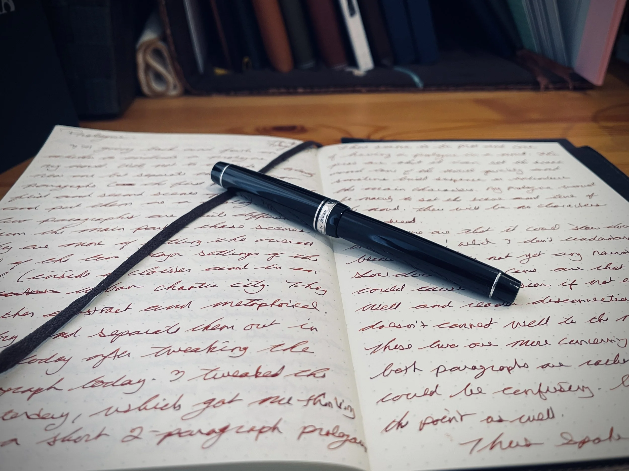 Fountain pen on handwritten pages