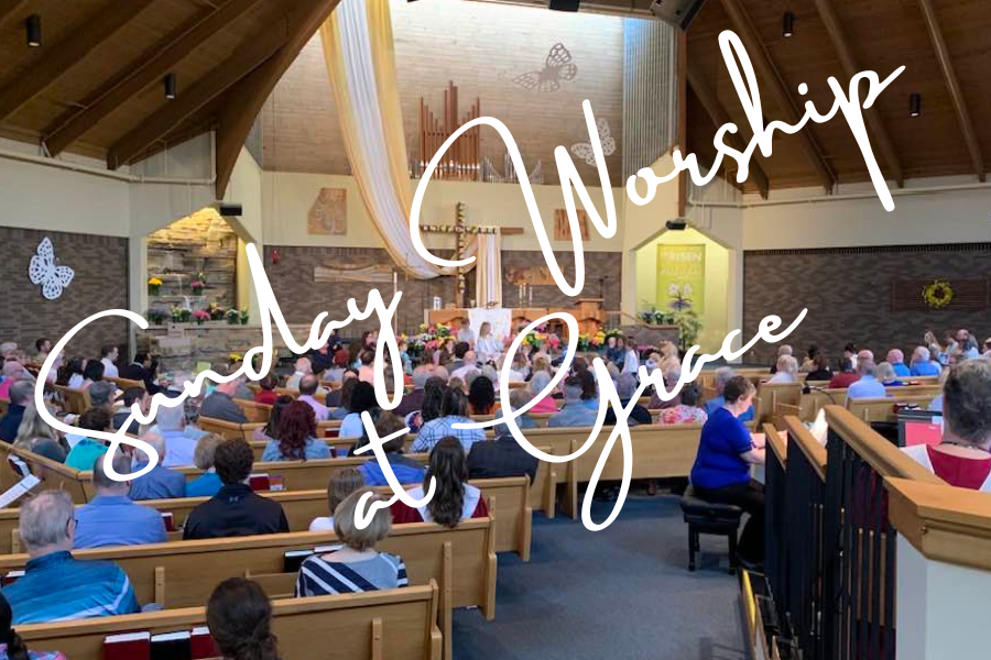 July 19 - 8th Sunday of Pentecost 