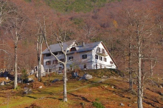 A house on a hillside surrounded by trees with no leaves, suggesting late fall or winter.