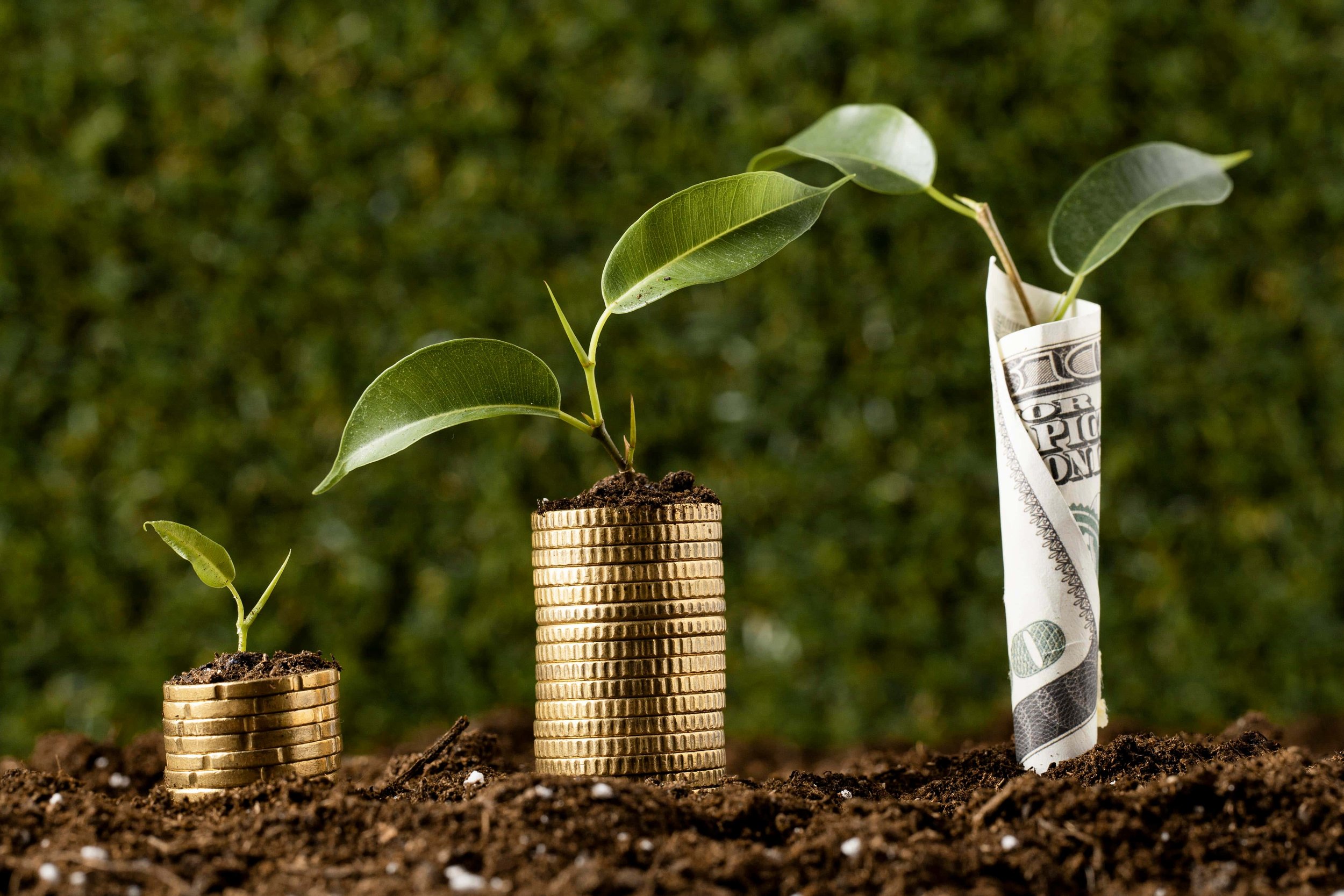 How to Measure the ROI of Your Workplace Wellness Program