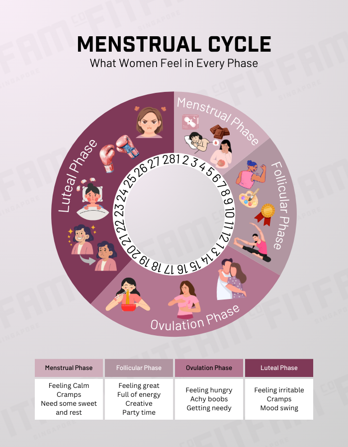 Menstrual Cycle FITFAMCO