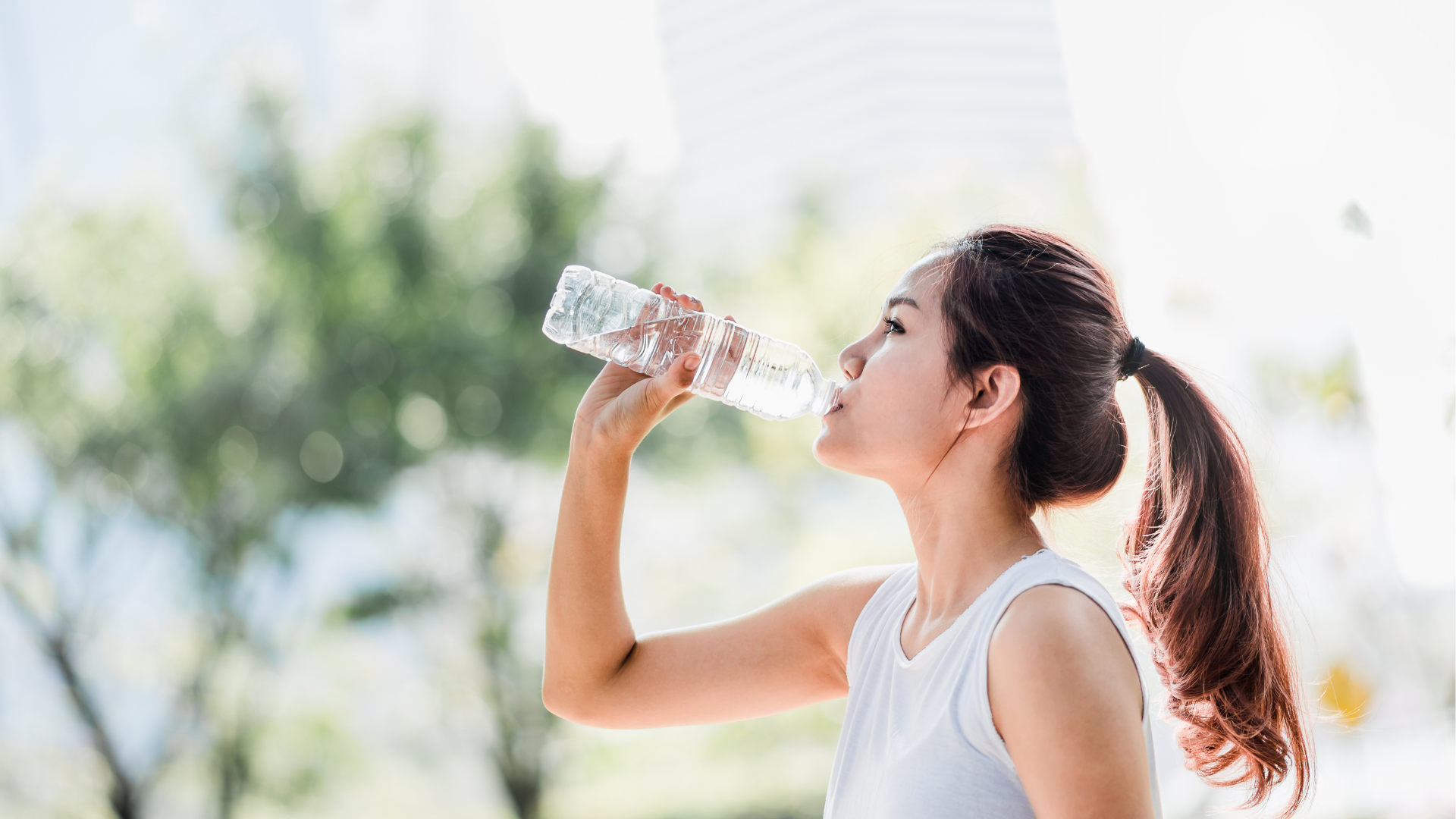 Step Challenge | Corporate Wellness Programs — FITFAMCO
