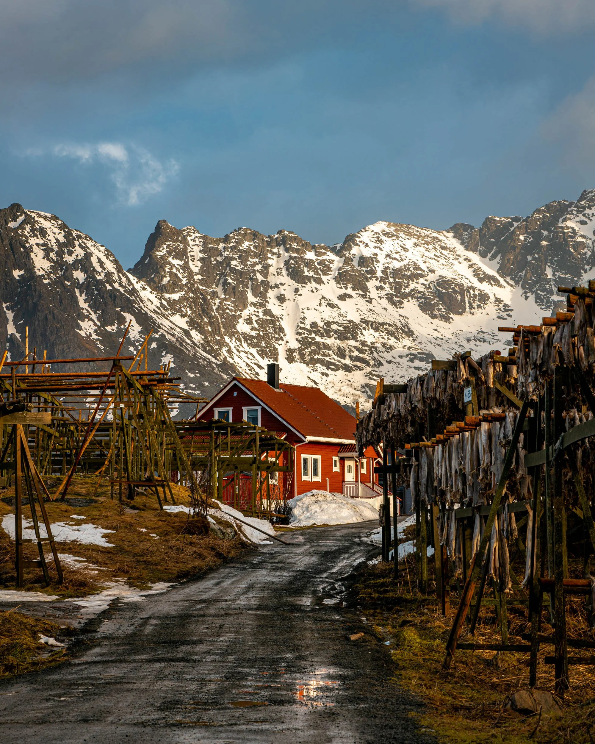 Lofoten-54.jpg