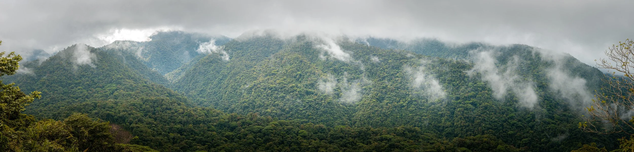_BU_6530-Pano.jpg