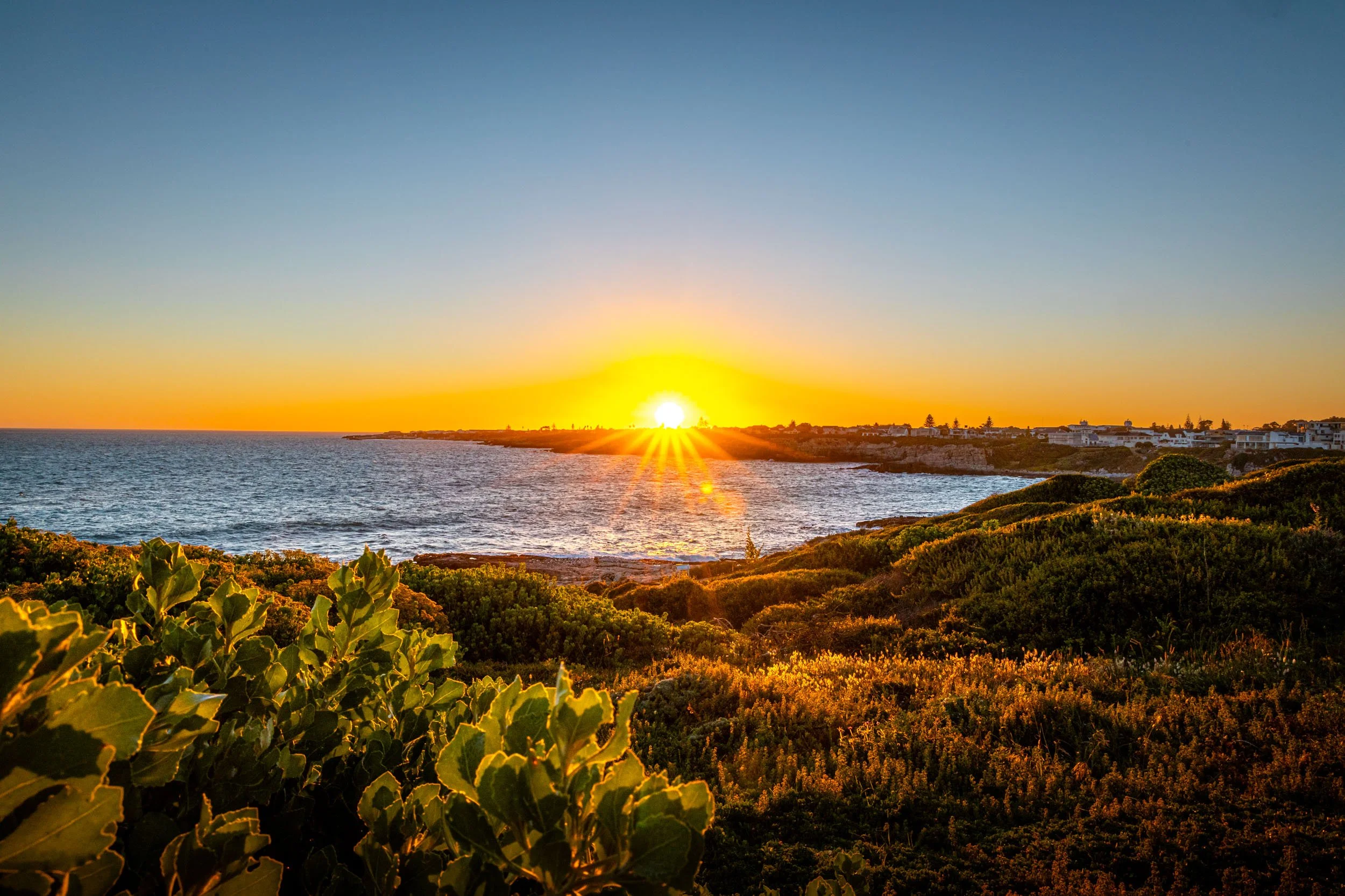 _BU_7299-HDR.jpg