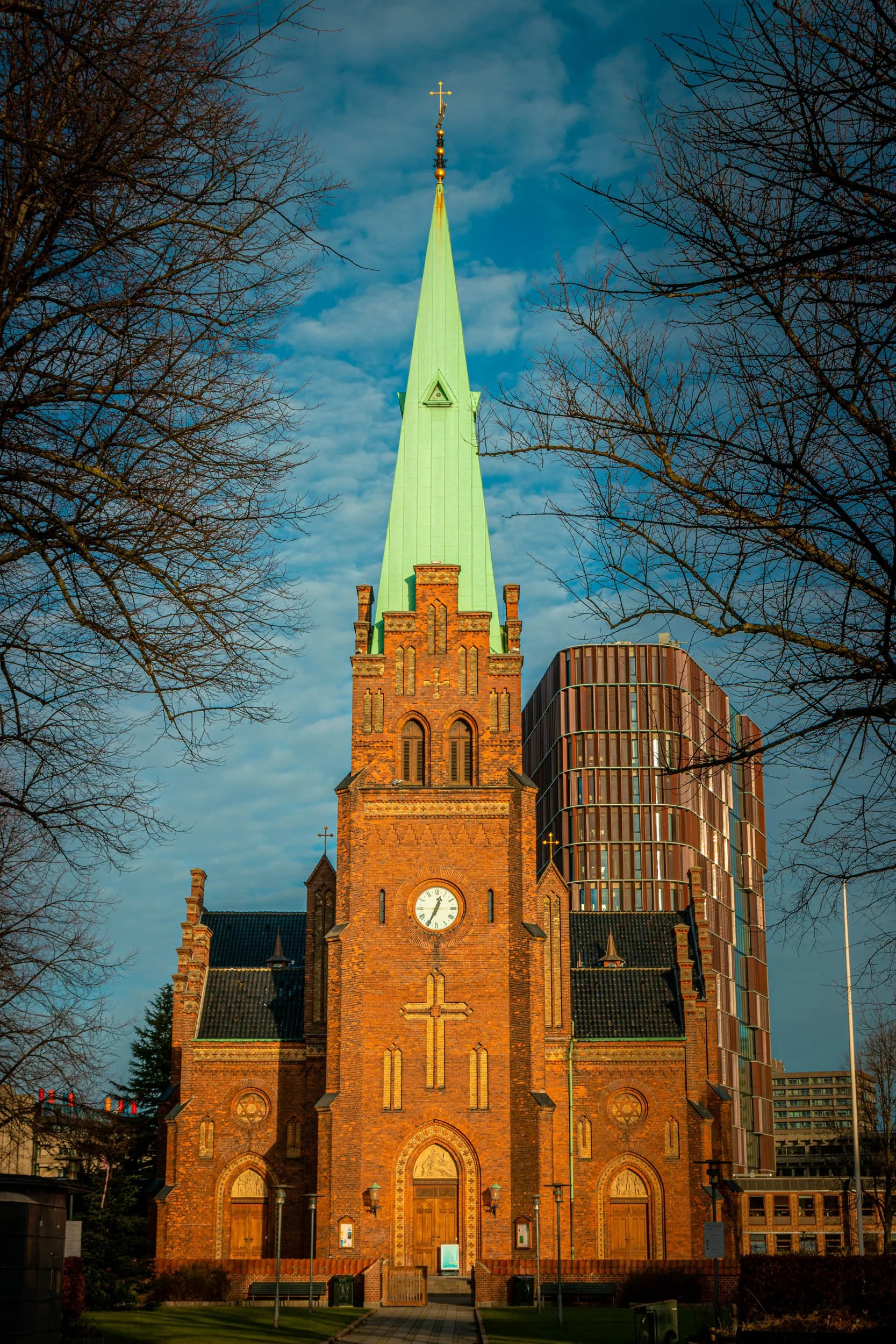 IMG_8639.jpg
