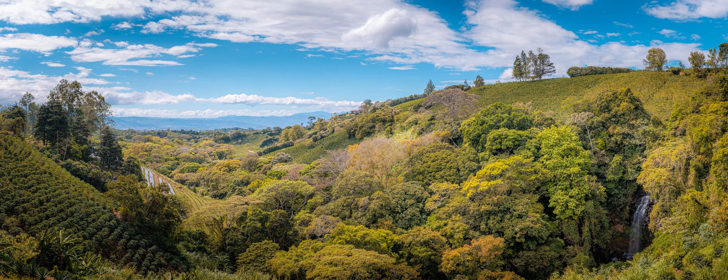 _BU_7074-Pano.jpg