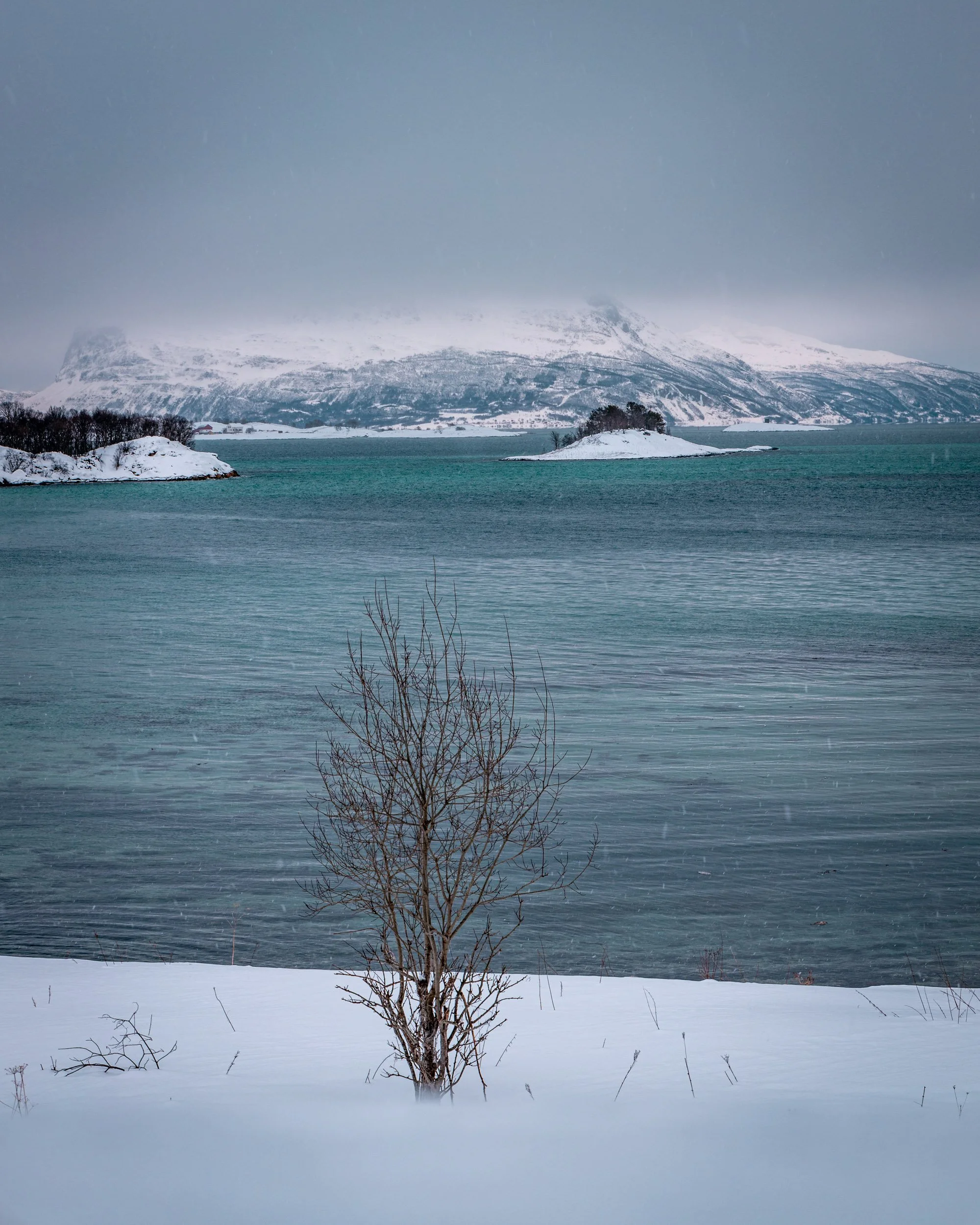 Lofoten-26.jpg