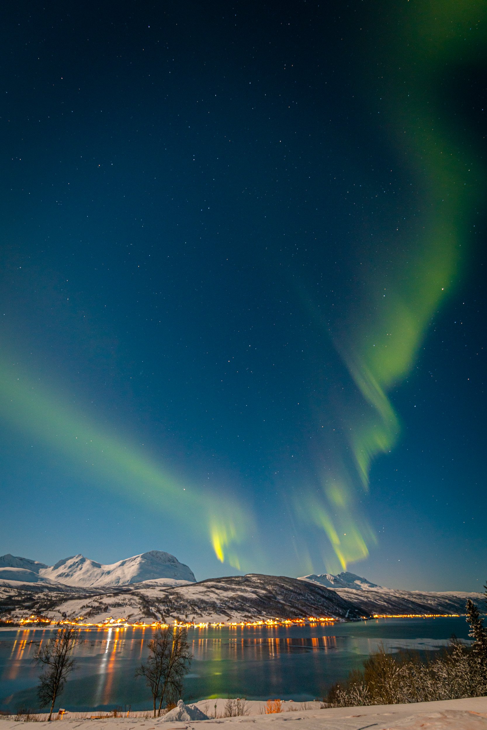 Lofoten-13.jpg