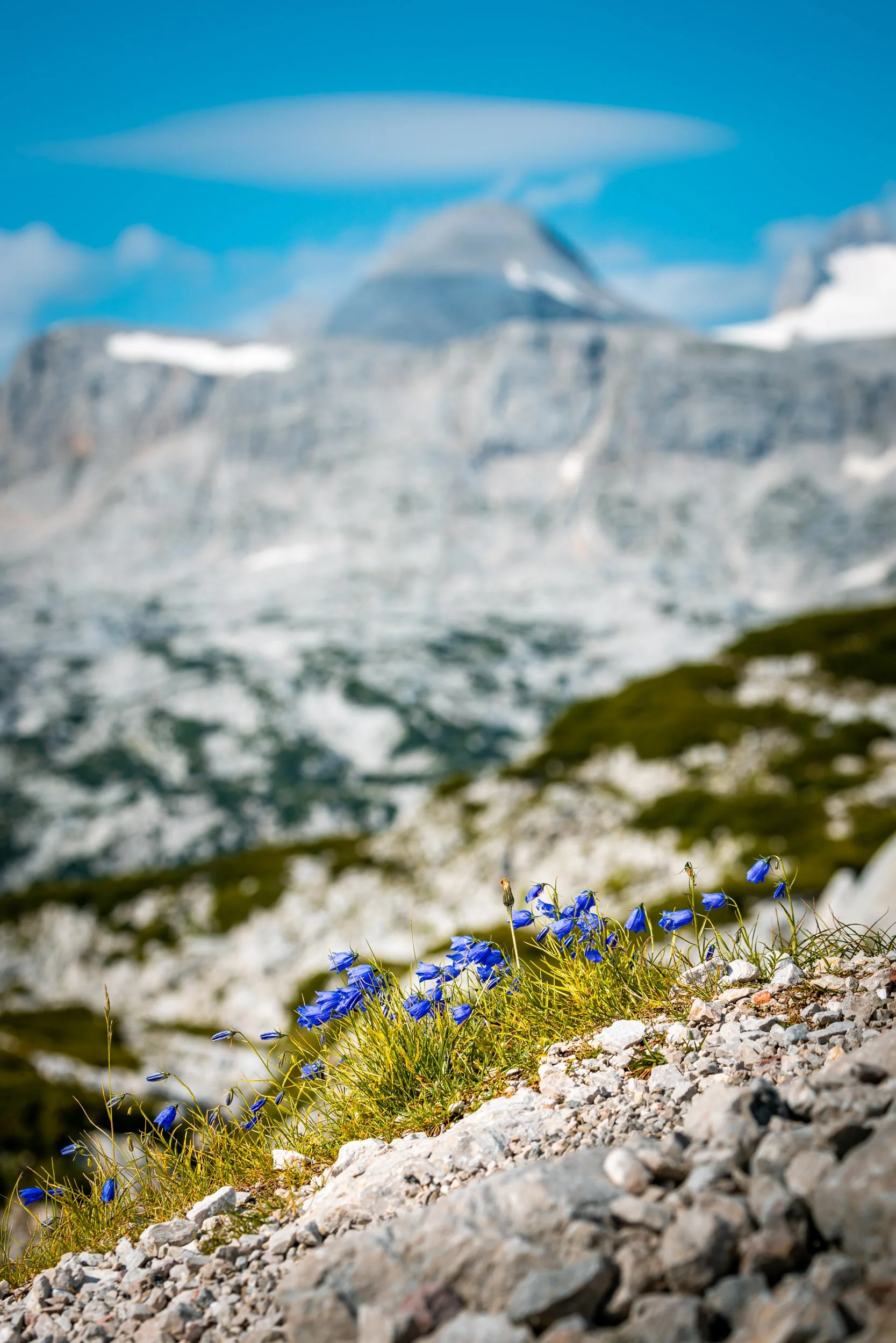 Alpen2020-184.jpg